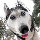 ���� ��������, �������, 43 ���� - ��������� 29 ���� 2022 � ������ ���� ����������