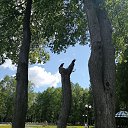 ���� �����, ������, 52 ���� - ��������� 12 ������ 2023 � ������ ���� ����������