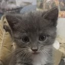 ���� ������, �������������, 61 ��� - ��������� 16 ������� 2022 � ������ ���� ����������