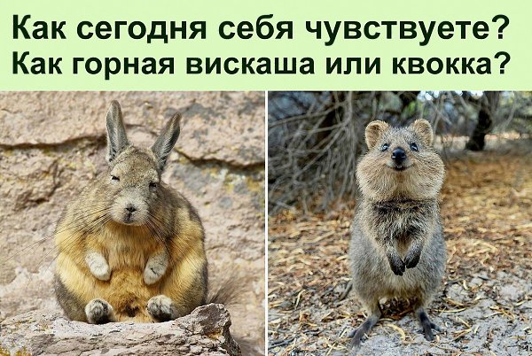 ������ ��������� :D - 30 ������ 2023 � 11:30