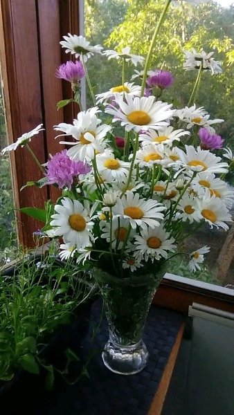 Нас лечат запахи и звуки, улыбка, солнце, ветерок, Родные, ласковые руки, лесной прохладный ручеёк. ...