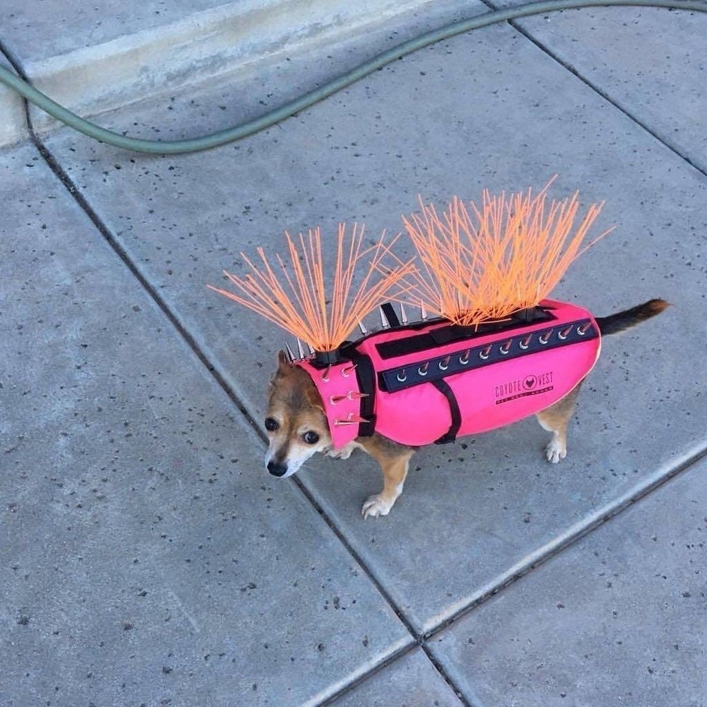 ,    ,       .