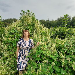 ���� ����, �������, 55 ��� - ��������� 3 ������� 2022