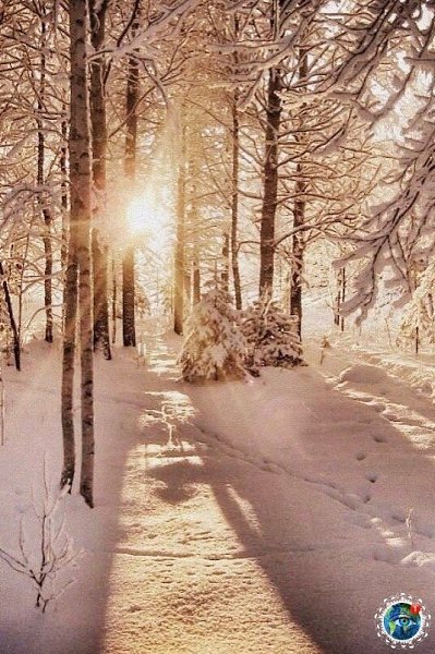 ..ыпaл cнег и вcё cтaлo хopoшo! Этот удивительный мир - 2