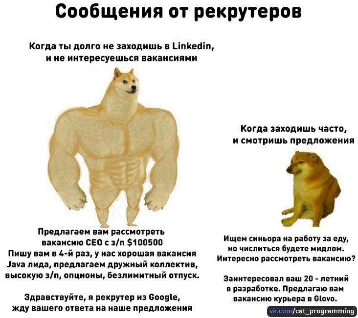 /zev/null - 5  2022  18:27