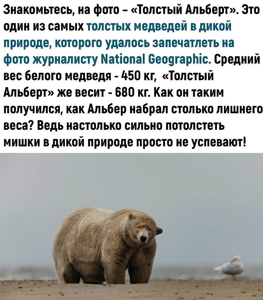     .   - 2