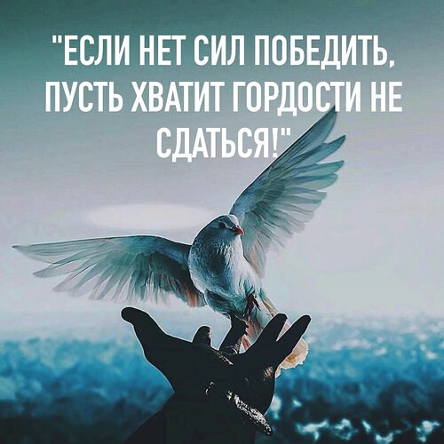  ! - 1  2022  10:49