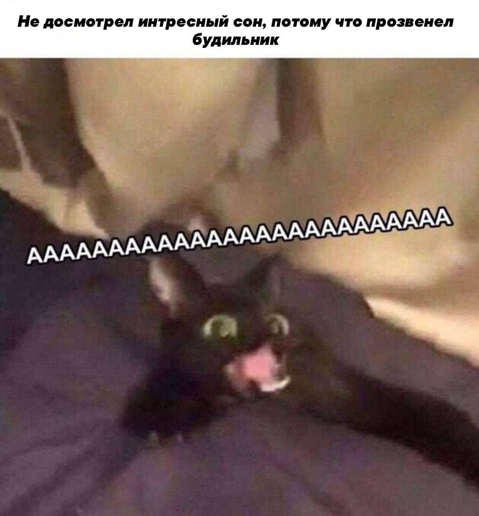    - 25  2022  04:24
