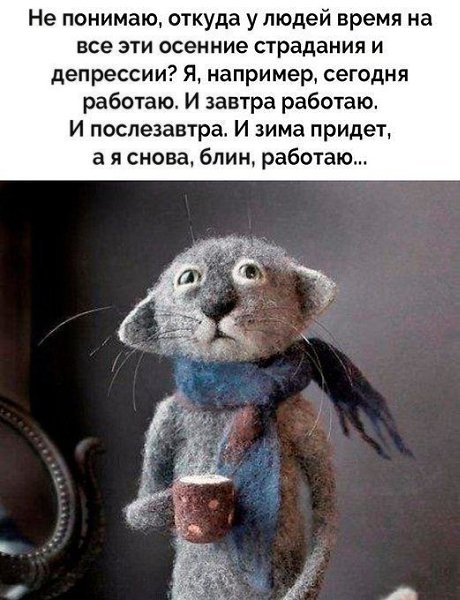   ,    . - 24  2022  19:17