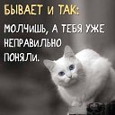 ���� �����, �����-���������, 52 ���� - ��������� 16 ����� 2022 � ������ ������ ��������