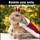 ���� Dreamjay, �����, 41 ��� - ��������� 11 ������ 2022 � ������ ������ ��������