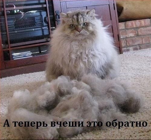    - 7  2022  13:19