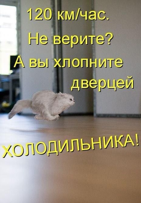    - 2  2022  01:19