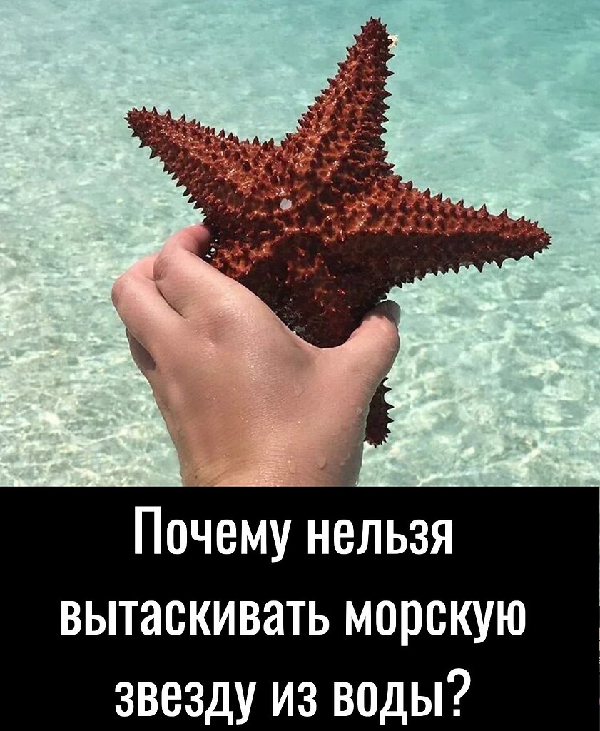 Как нельзя вытаскивать. Как нельзя вытаскивать