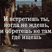 , 53 , 