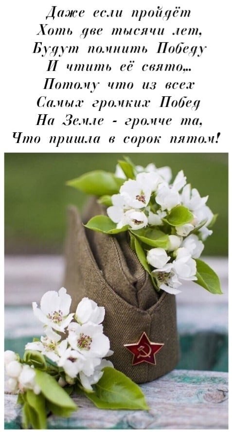   ,    . - 8  2022  19:25 - 4