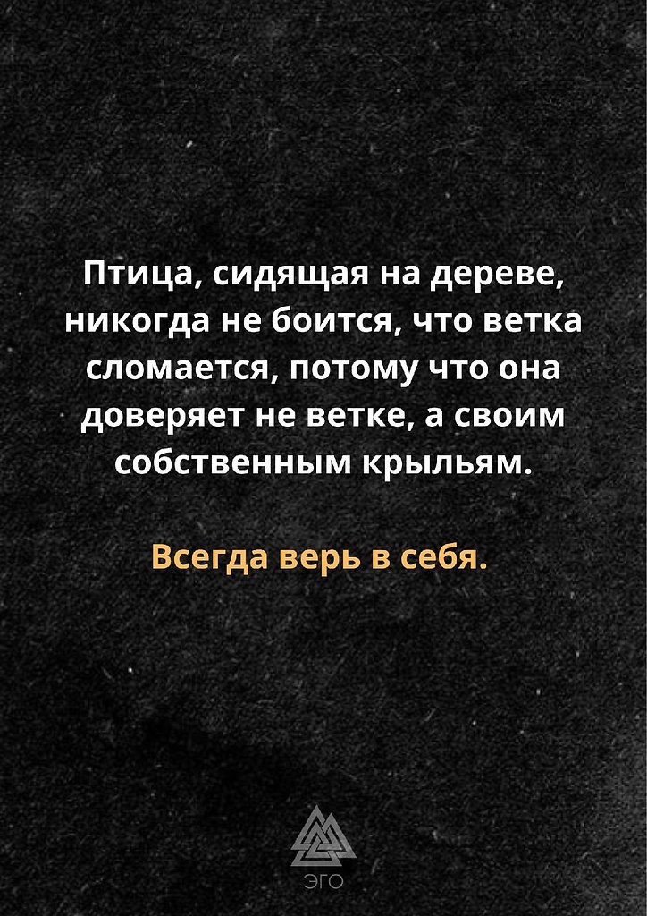  | ,  - 28  2022  16:33