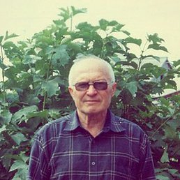 ��������, ������, 69 ���