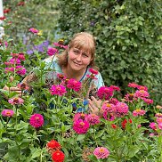 ������, 56 ���, �������