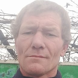 �����, ������, 42 ����