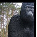 ���� ������, ������, 47 ��� - ��������� 14 ������� 2023 � ������ ���� ����������