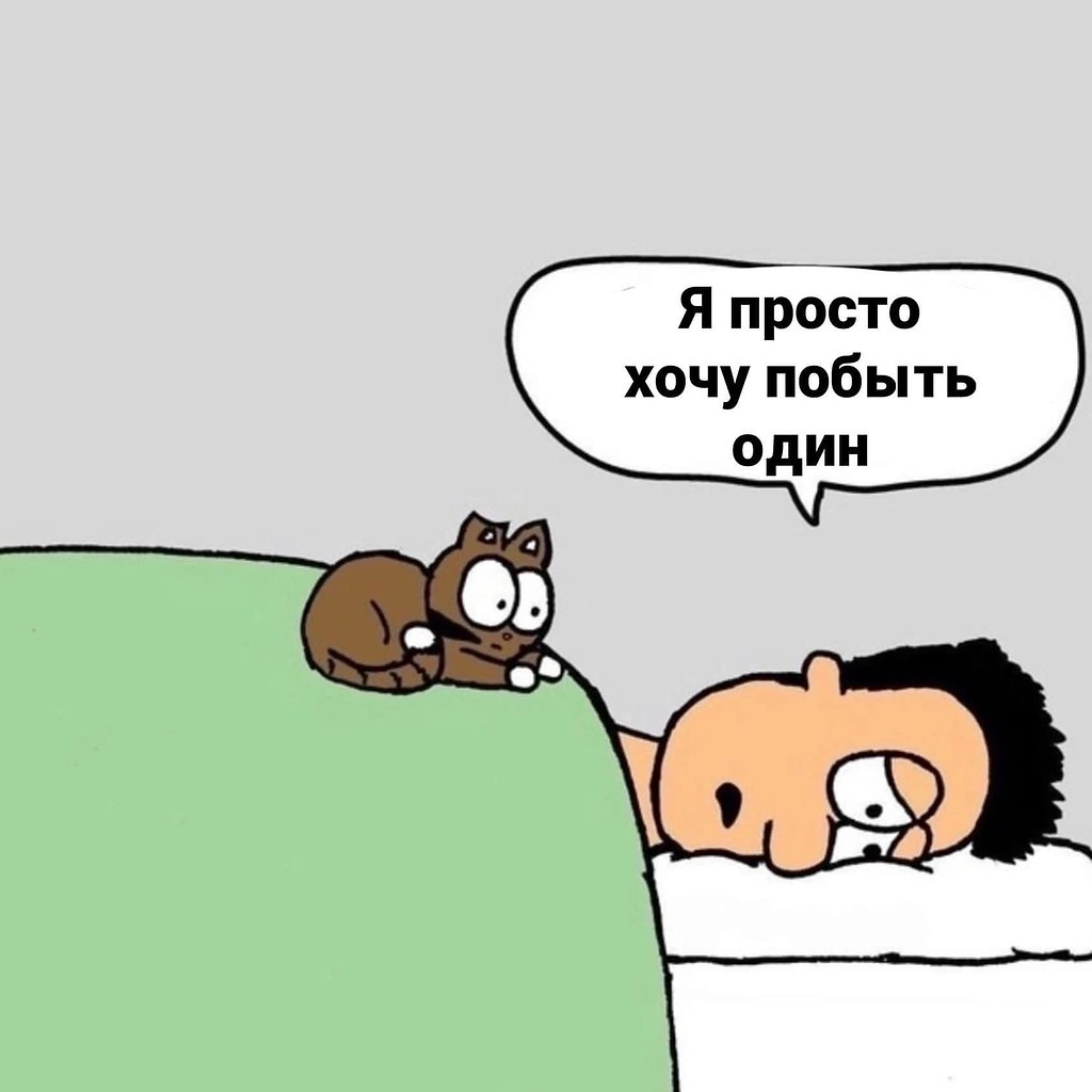    ,    .