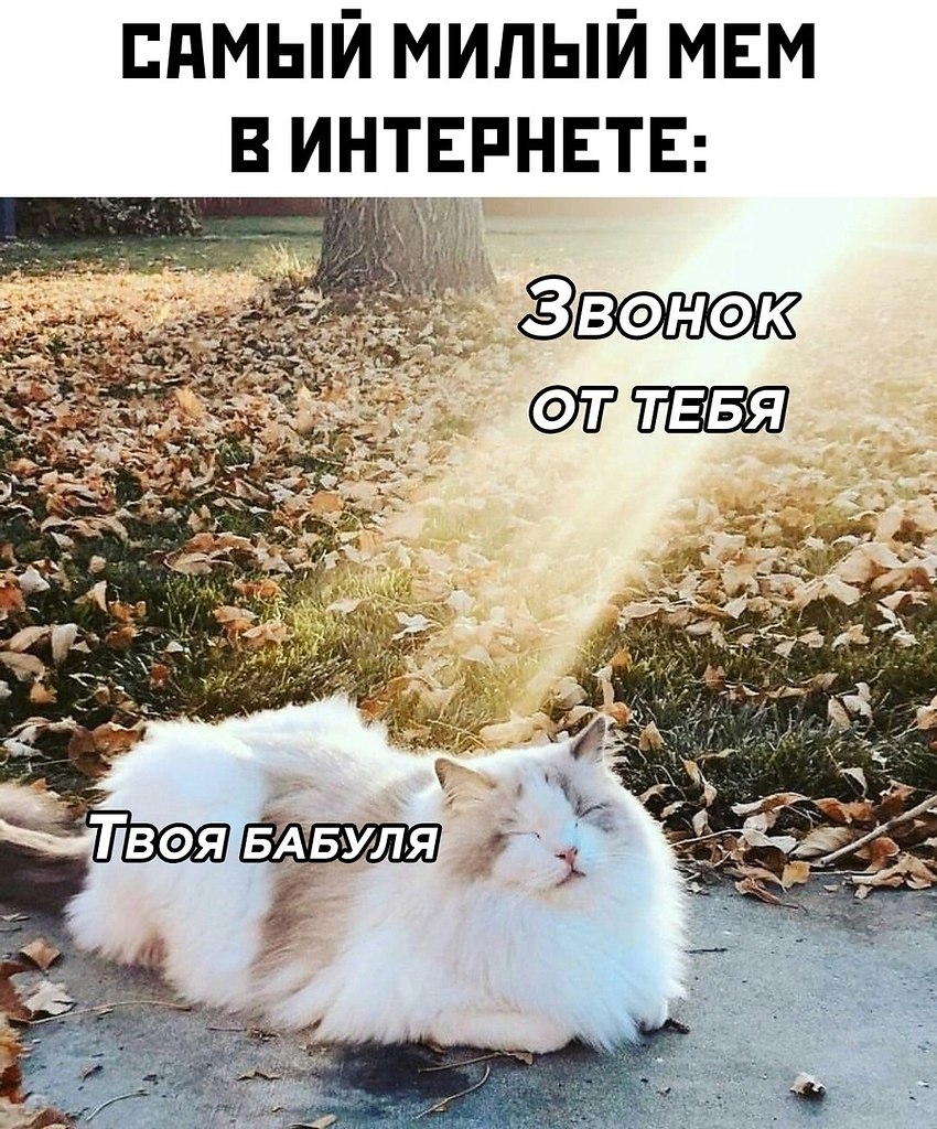 ☆ ☆ - 5  2022  03:33