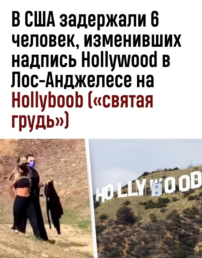  2017       Hollyweed ( )