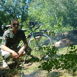 ������, ��������, 54 ����