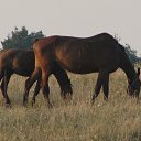 ���� ������, ������� - ��������� 11 ������� 2022 � ������ ���� ����������