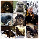 ���� ����, �����-��������� - ��������� 10 ������ 2022 � ������ ������ ��������