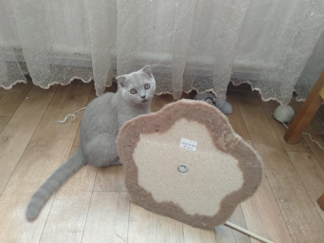 �� ������� �, ��� ����...