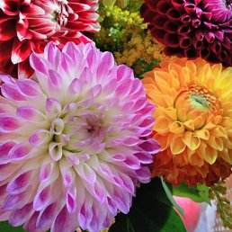 ������, �����-���������, 39 ���