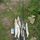 ���� �����, ������ �������� - ��������� 3 ������� 2023 � ������ ���� ����������