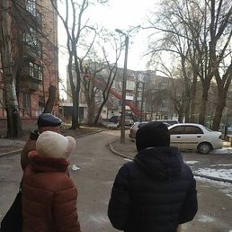 ����, ���������, 66 ���