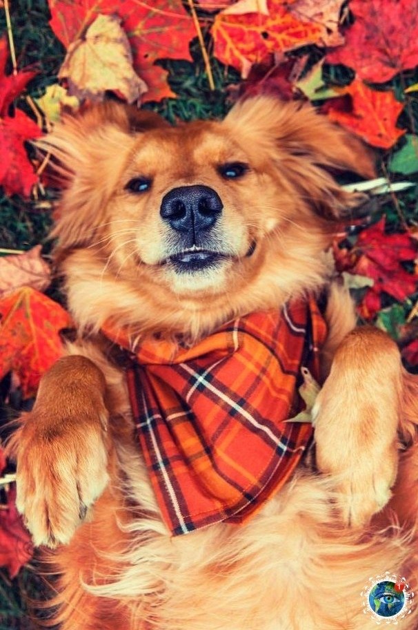 cea ec, a o o o e...   