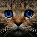 ���� Serg, �����������, 66 ��� - ��������� 2 ������ 2023 � ������ ���� ����������