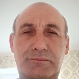 ,  , 56 