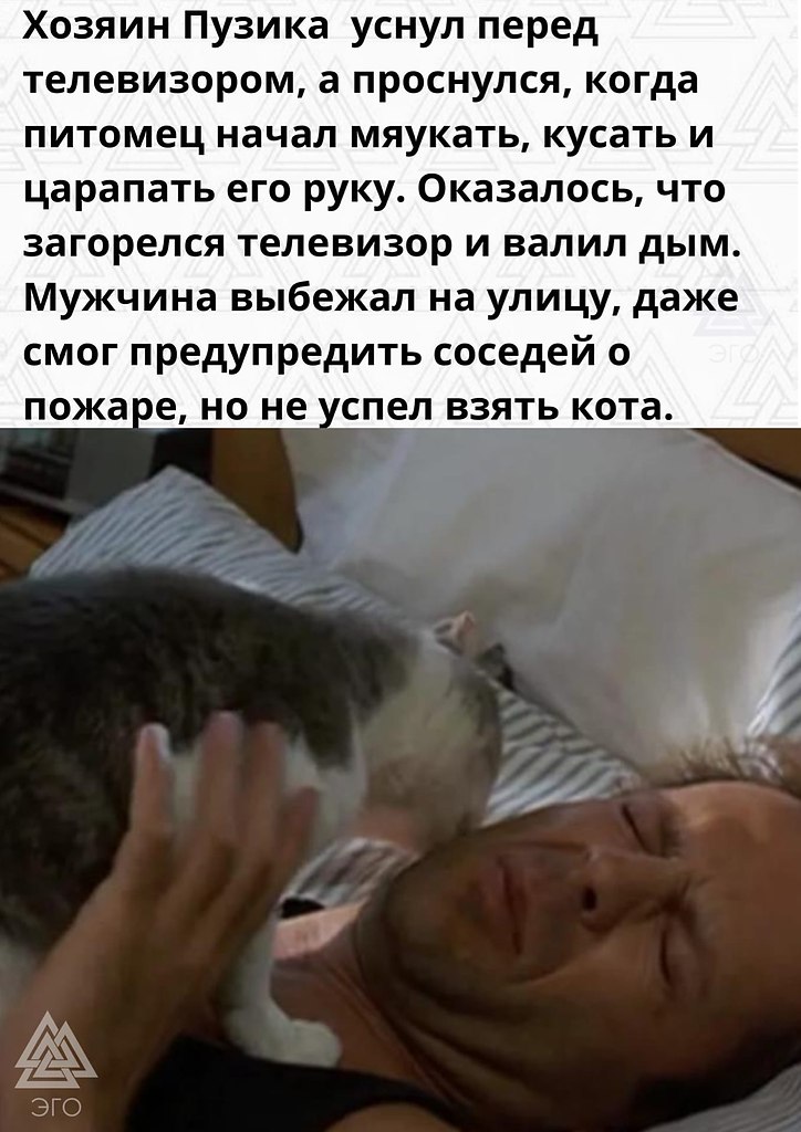     ,  ,   -   - 2