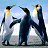  Surf2023, , 63  -  8  2023