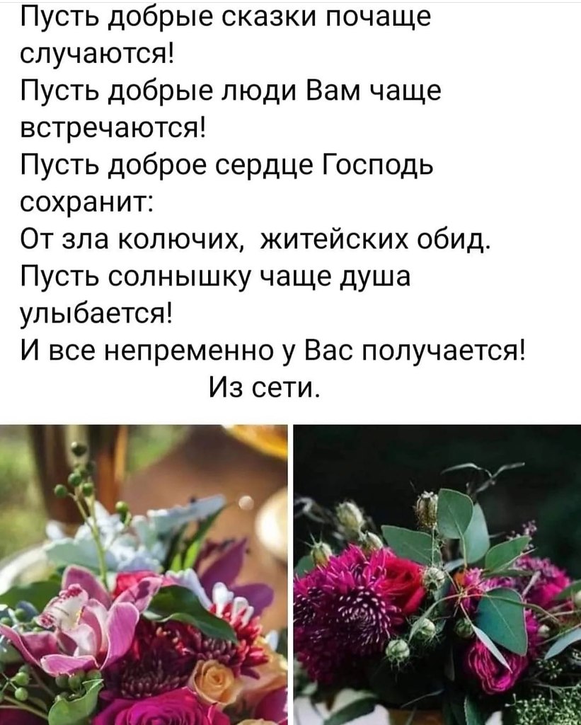   - 16  2022  08:51