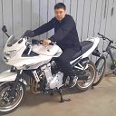 ���� ������, ������, 40 ��� - ��������� 16 ������ 2023