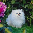 ���� �����, ������, 43 ���� - ��������� 4 ������� 2022 � ������ ���� ����������