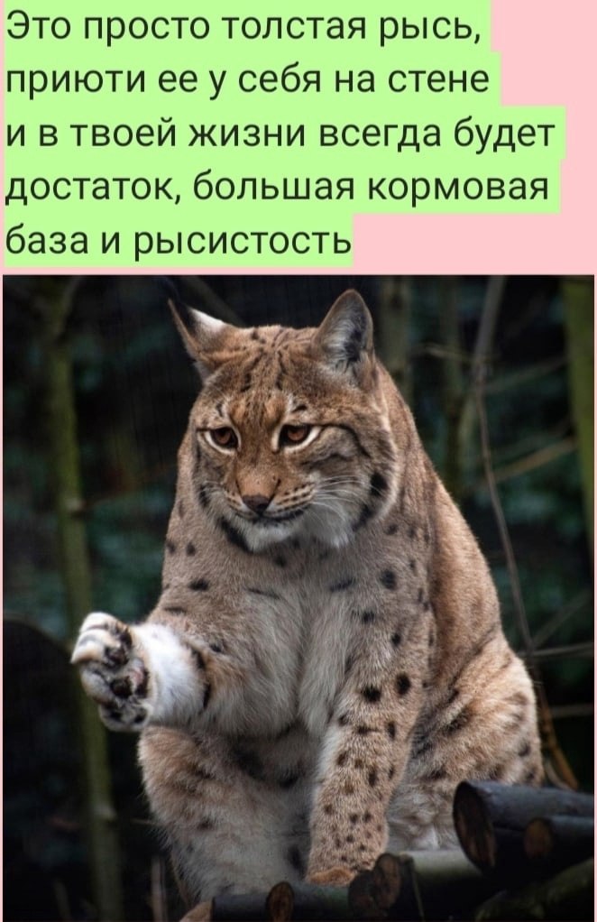   :D - 31  2022  09:39
