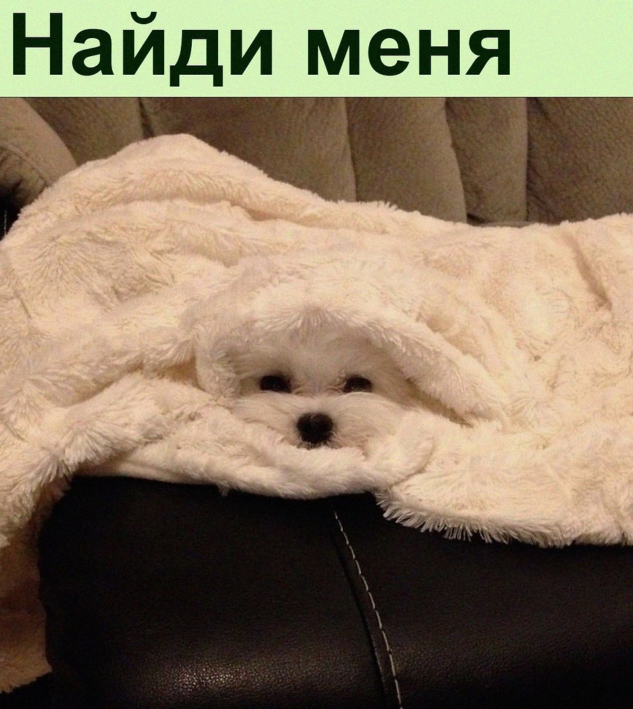   :D - 13  2022  18:31