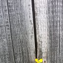���� Orange, ���������� - ��������� 23 ���� 2022 � ������ �������� � �������