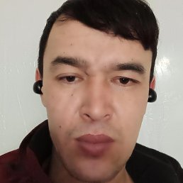 , , 31 