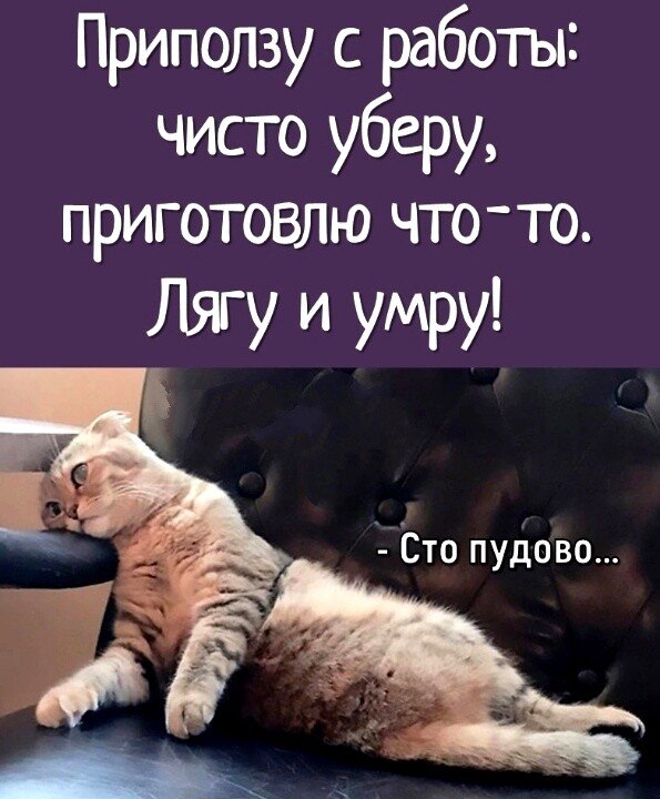 ***Victoria Viktorovna*** - 21  2022  15:03