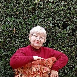 �������, ����, 72 ����