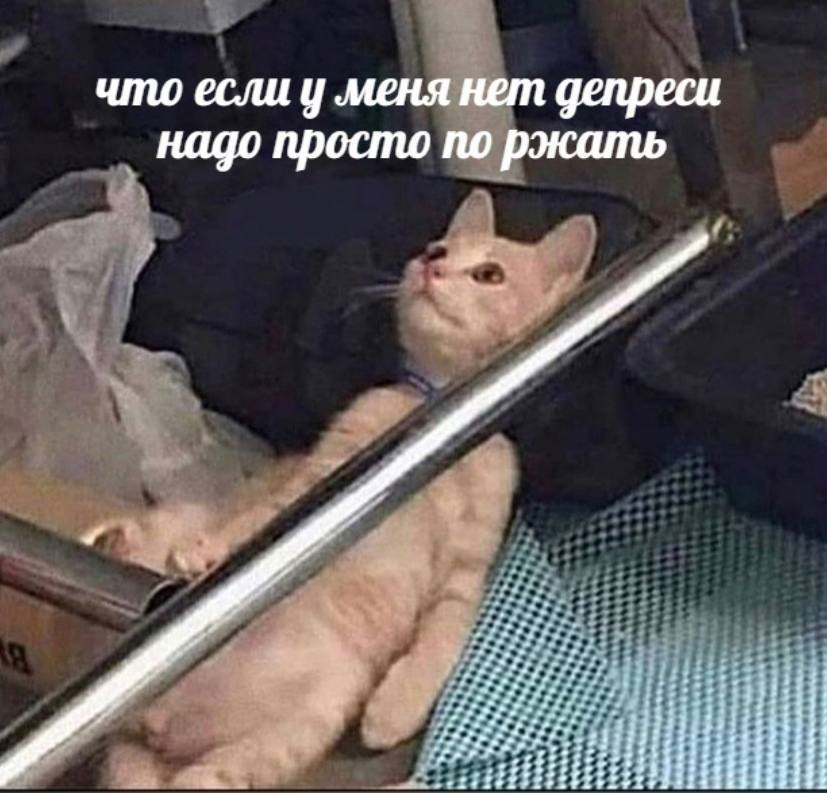    - 1  2023  08:39